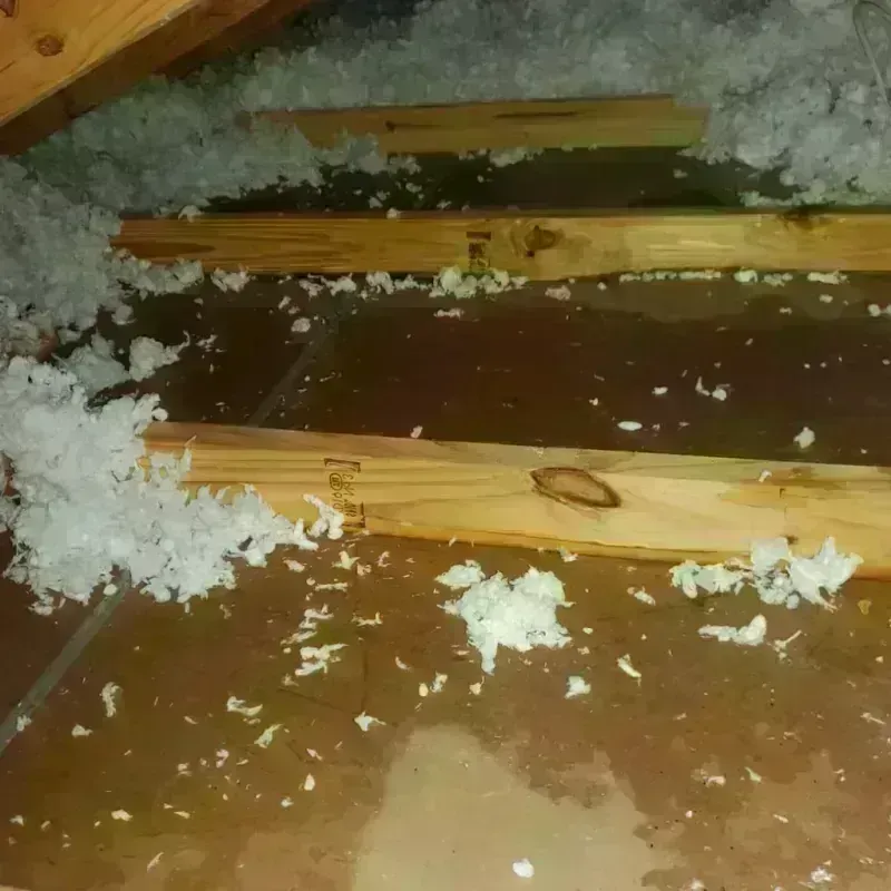 Attic Water Damage in Vergennes, VT